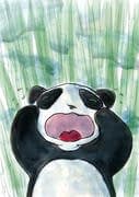Petit panda pleure