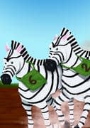The zebras race